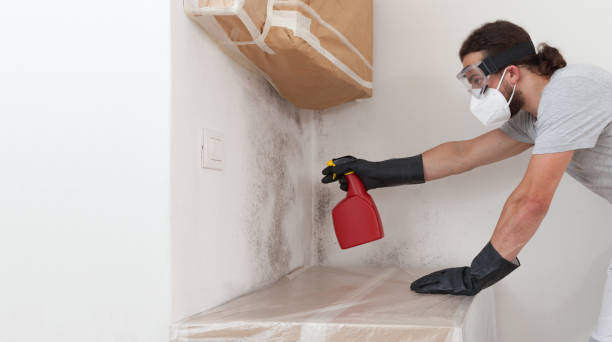 Professional Bathroom Mold Removal technician working in Liberty Hill, TX