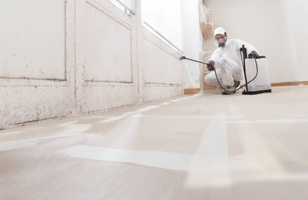 24/7 Emergency Bathroom Mold Removal experts in Liberty Hill, TX