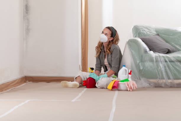 Reliable Bathroom Mold Removal contractor in Liberty Hill, TX by Mold Remediation HQ