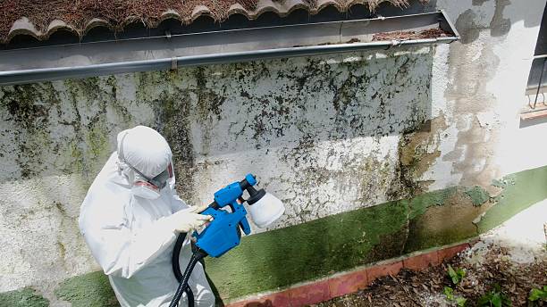 Top rated local Bathroom Mold Removal specialists in Liberty Hill, TX